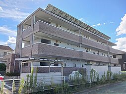 Ｊ・フローレンス 305