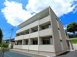 1 / 2