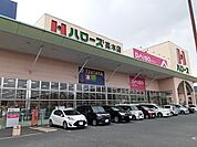 【スーパー】ハローズ高木店まで700ｍ