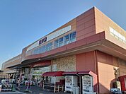 【ホームセンター】山新　結城店まで280ｍ