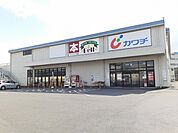 【ドラッグストア】カワチ薬品水海道店まで840ｍ