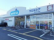 【ドラッグストア】ウエルシア守谷ひがし野店まで430ｍ