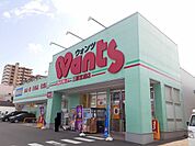 【ドラッグストア】ウォンツ三原宮浦店まで1000ｍ