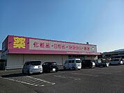 【ドラッグストア】クスリ岩崎チェーンイオン柳井店まで1000ｍ