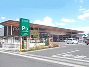 【スーパー】みやぎ生協 古川南店まで300ｍ