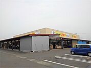 【スーパー】新鮮市場きむら観音寺店まで1100ｍ