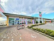【スーパー】ヨークベニマル柴田店まで2000ｍ