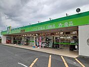 【ドラッグストア】ジップドラッグ白子店まで700ｍ