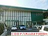 周辺：【スーパー】ＣＯＯＰ八木山店まで3000ｍ