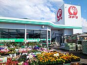 【ホームセンター】コメリハード＆グリーン志波姫店まで1300ｍ