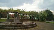 【公園】川口中央公園まで700ｍ