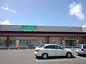 【ドラッグストア】ザグザグ観音寺店まで1300ｍ
