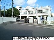 【小学校】仙台市立台原小学校まで600ｍ