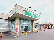 【スーパー】コープさっぽろ ほくと店まで1800ｍ