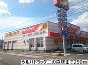 【ドラッグストア】ツルハドラッグ二の森店まで250ｍ