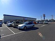 【ドラッグストア】カワチ薬局館林北店まで790ｍ