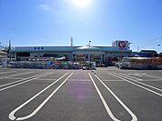 【ホームセンター】コメリハード&グリーン館林北店まで790ｍ