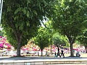 【公園】西山公園まで850ｍ