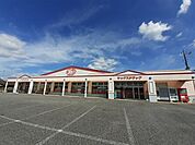【ドラッグストア】ヤックスドラッグ　野田店まで781ｍ