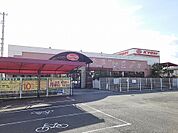 【スーパー】キョーエイキュート昭和店様まで490ｍ