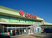 【スーパー】ヤオハン　城東店まで250ｍ