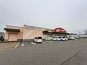 【ドラッグストア】クスリのアオキ西本成寺店まで335ｍ