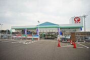 【ホームセンター】コメリ太田下田島店まで900ｍ