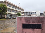 【小学校】市立中の島小学校まで900ｍ