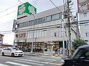 【スーパー】ライフ恵我之荘店様まで130ｍ