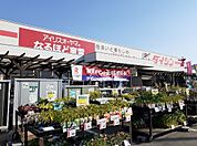 【ホームセンター】ダイシン古川店まで650ｍ
