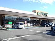 【スーパー】フレッセイ新町店まで1300ｍ