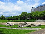 【公園】どんどんどんの森まで1000ｍ