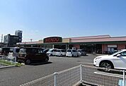【スーパー】せんどう茂原店まで1400ｍ