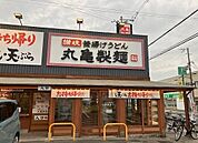 【その他】丸亀製麺東加古川店まで400ｍ