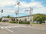 【大学】名寄大学まで1800ｍ