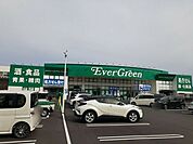【ドラッグストア】エバグリーン様まで1200ｍ