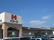 【スーパー】ハローズまで240ｍ