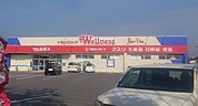 【ドラッグストア】ウェルネス米原店まで800ｍ
