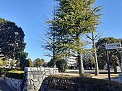【公園】駅南平和公園まで220ｍ