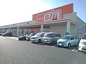 【スーパー】ザ・ビッグ白根店まで3200ｍ