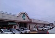 【スーパー】いちい信夫ヶ丘店まで1000ｍ