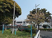 【小学校】大津南小学校まで800ｍ