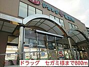 【ドラッグストア】ドラッグ　セガミ様まで800ｍ