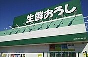 【スーパー】生鮮おろしまで550ｍ