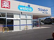 【ドラッグストア】ウエルシア　上河原店様まで650ｍ