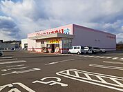 【ドラッグストア】ひまわり高須店まで1100ｍ
