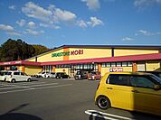 【ドラッグストア】ドラッグストアモリ田島店まで596ｍ
