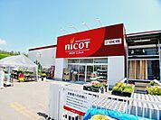 【ドラッグストア】DCMニコット 七飯店まで200ｍ