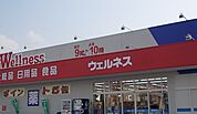 【ドラッグストア】ウェルネス両三柳店まで850ｍ