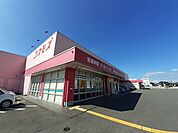 【ドラッグストア】ドラッグストアコスモス海士江店まで550ｍ